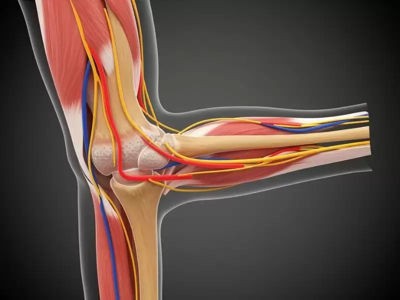 ulnar-oluk-cubital-tunnel-dekompresyon-ameliyati